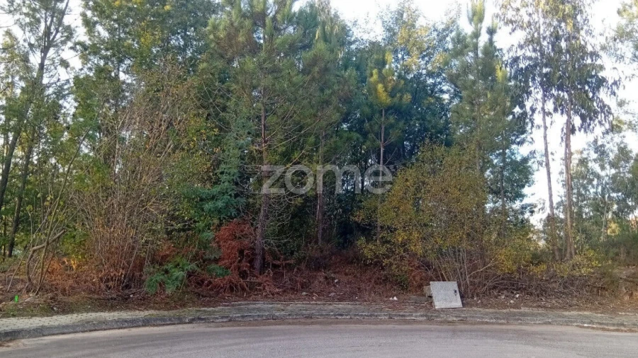 Terreno para Venda em O. Azeméis, Riba-Ul, Ul, Macinhata Seixa, Madail