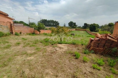 Terreno para Venda em Beduído e Veiros