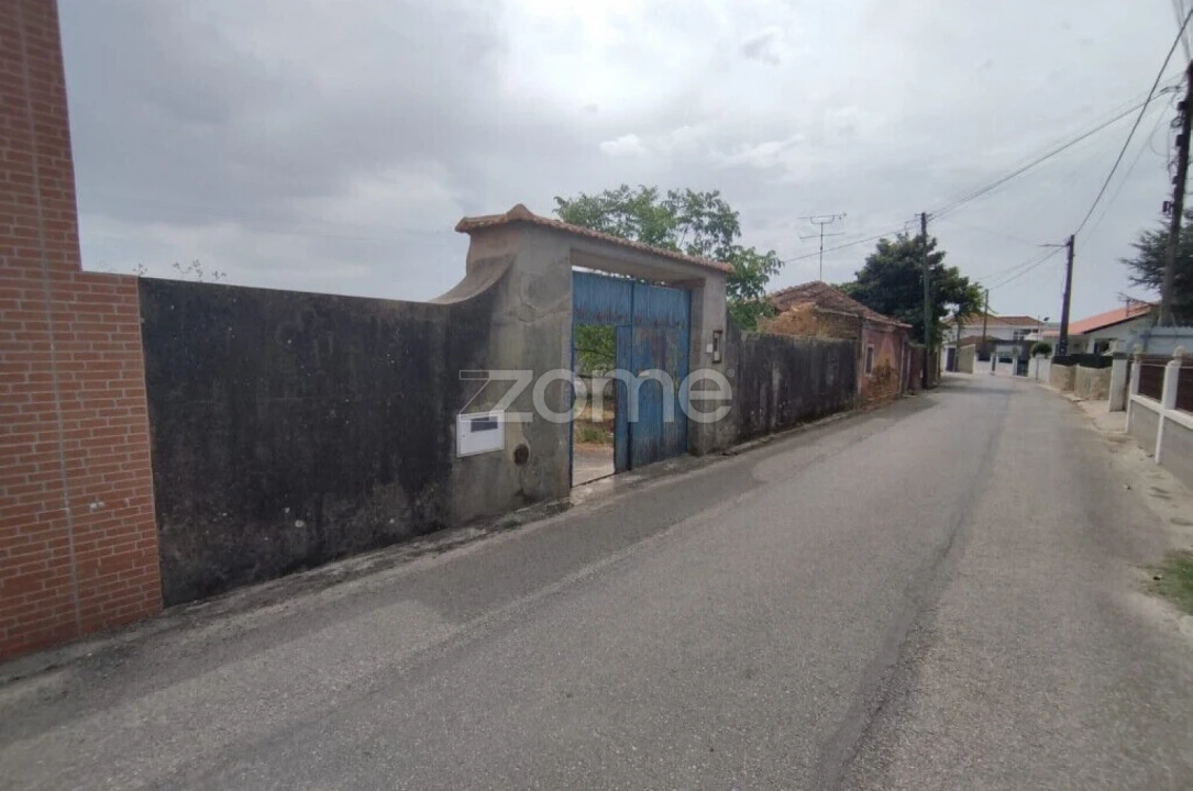 Terreno para Venda em Beduído e Veiros Foto 4