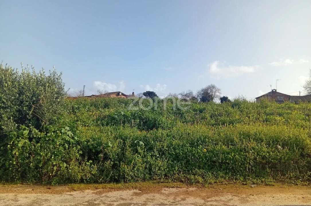 Terreno para Venda em Salreu Foto 8