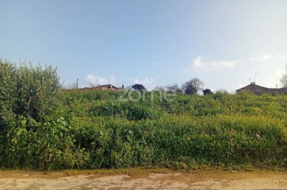Terreno para Venda em Salreu