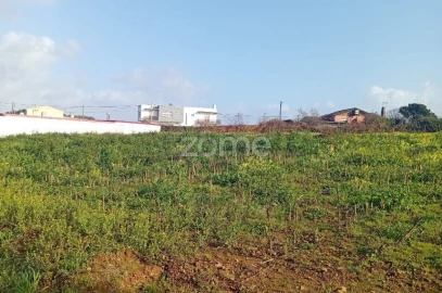 Terreno para Venda em Salreu