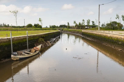 Terreno para Venda em Salreu