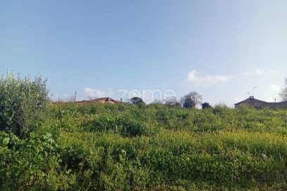 Terreno para Venda em Salreu