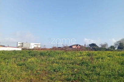 Terreno para Venda em Salreu