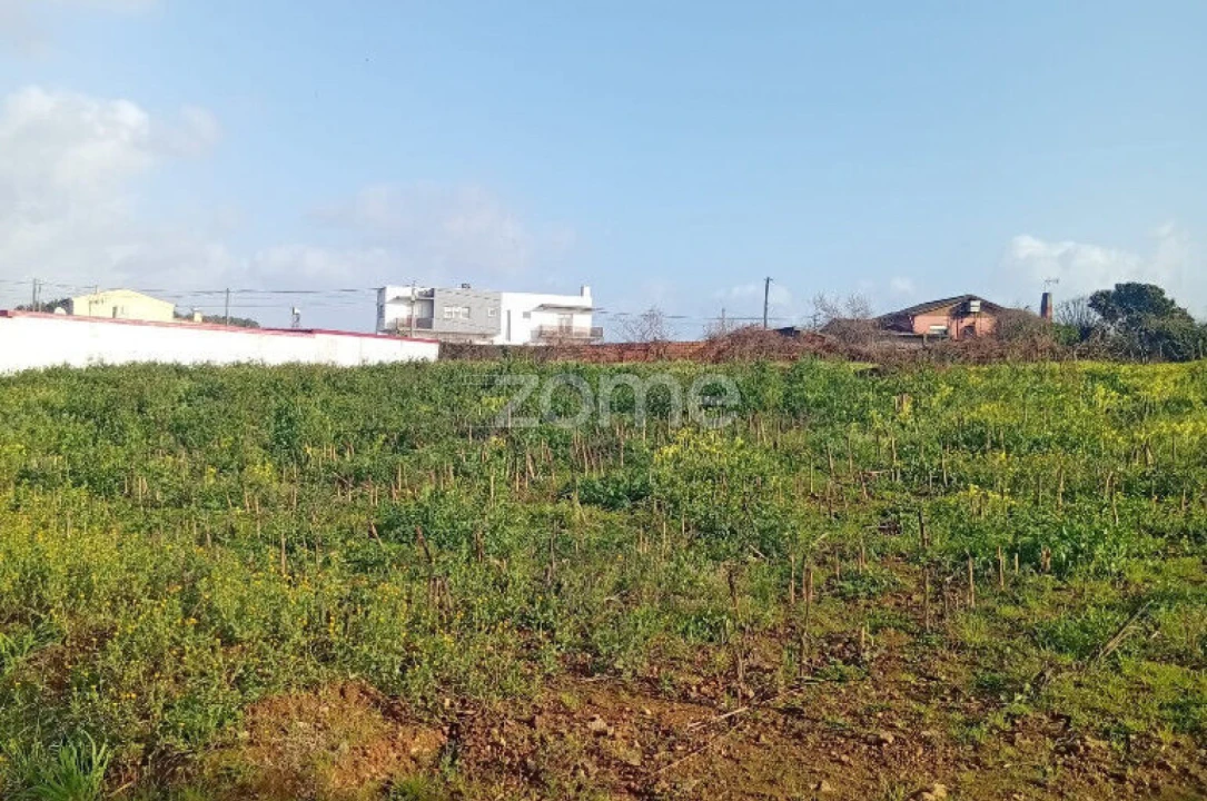 Terreno para Venda em Salreu Foto 4