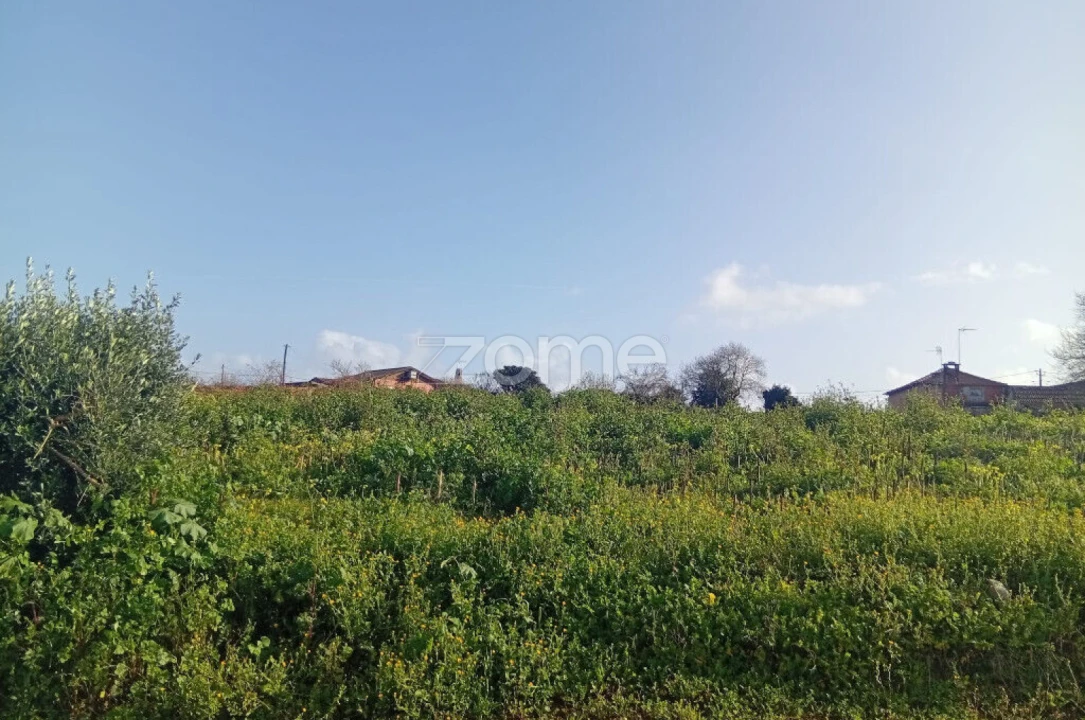 Terreno para Venda em Salreu Foto 7