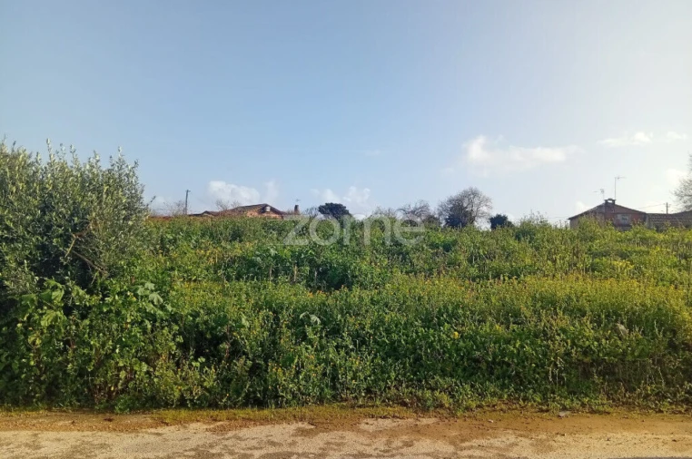 Terreno para Venda em Salreu Foto 8