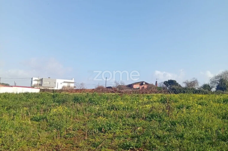 Terreno para Venda em Salreu Foto 5