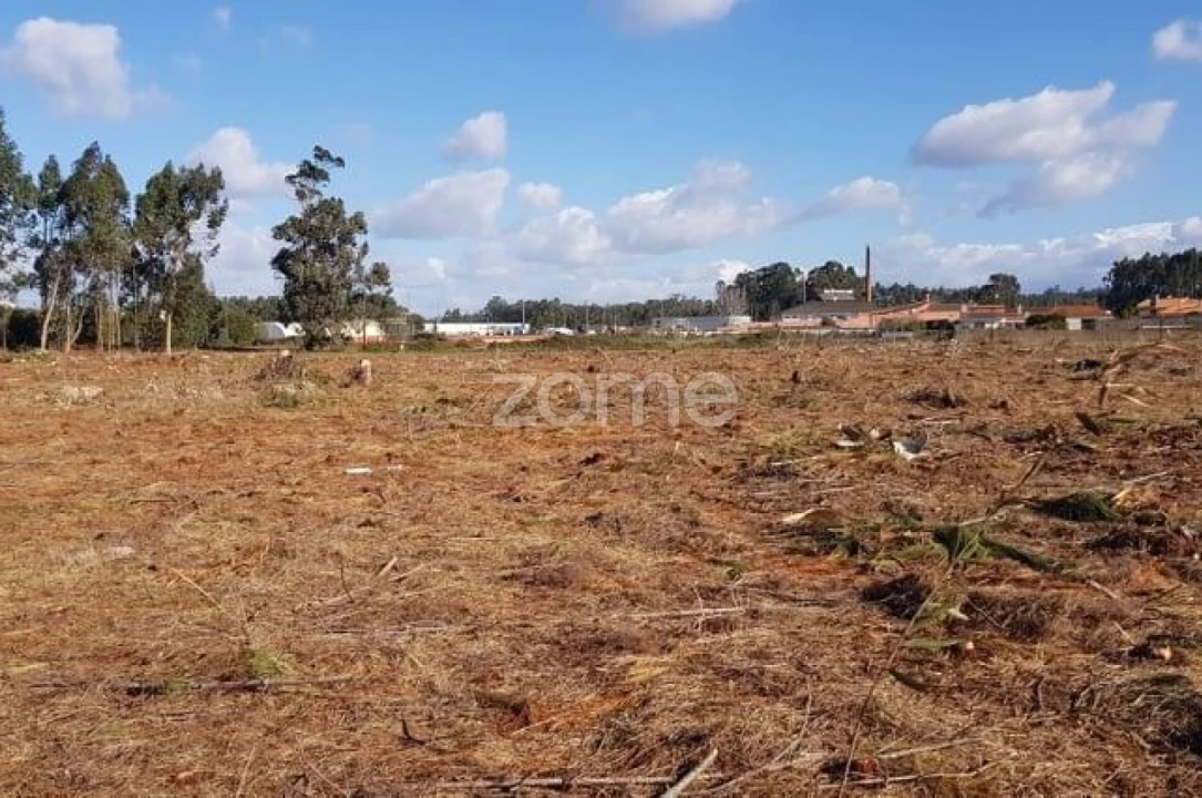 Terreno para Venda em Beduído e Veiros Foto 7