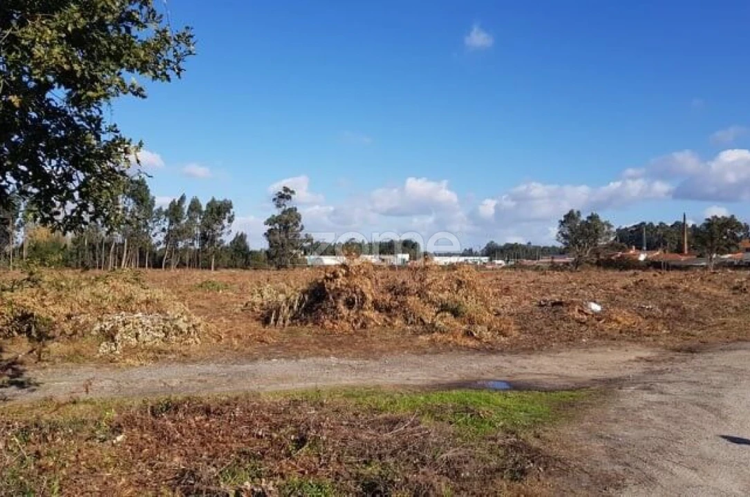 Terreno para Venda em Beduído e Veiros Foto 8