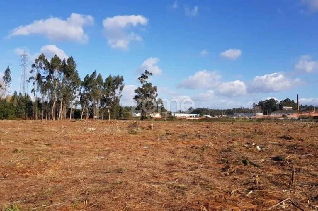 Terreno para Venda em Beduído e Veiros Foto 14