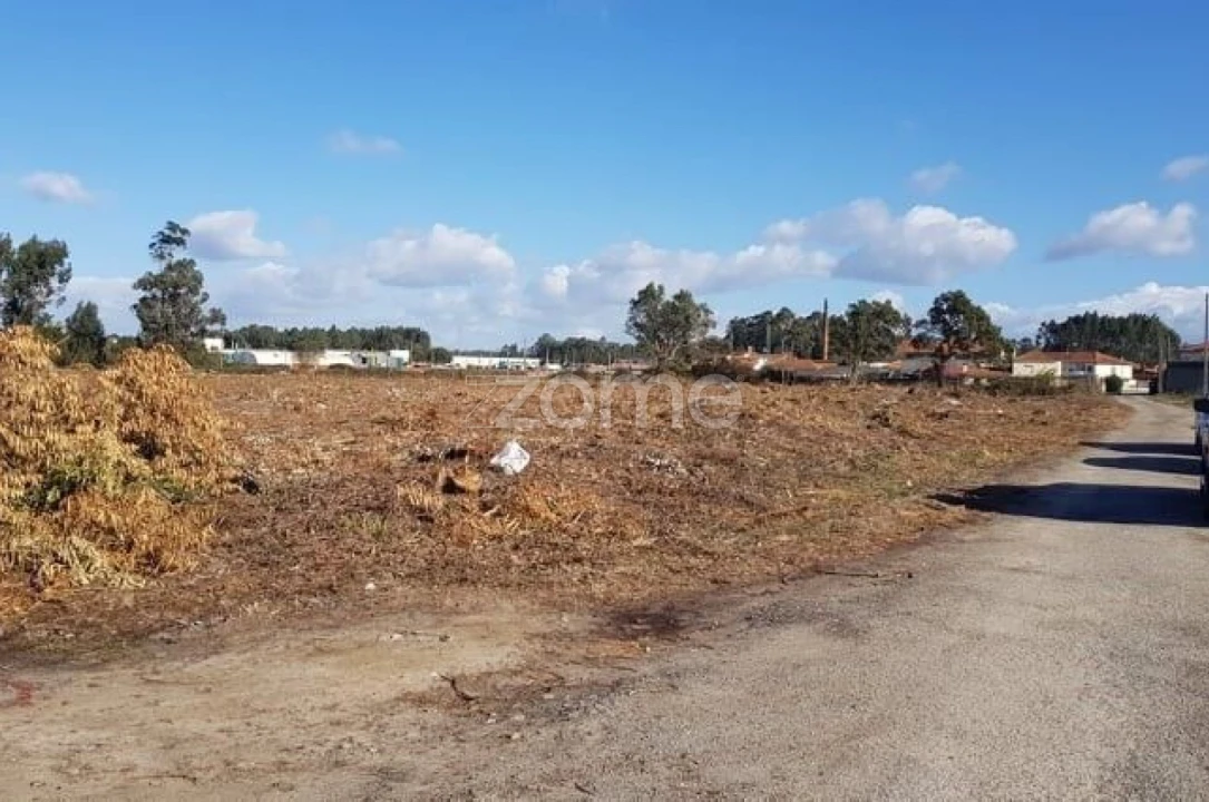 Terreno para Venda em Beduído e Veiros Foto 15