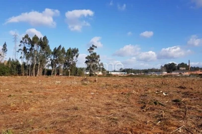 Terreno para Venda em Beduído e Veiros