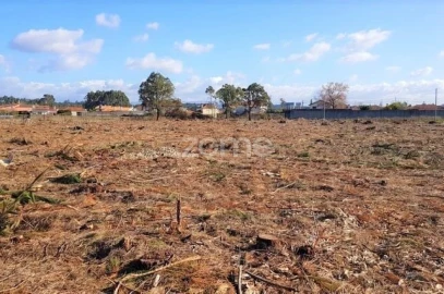 Terreno para Venda em Beduído e Veiros