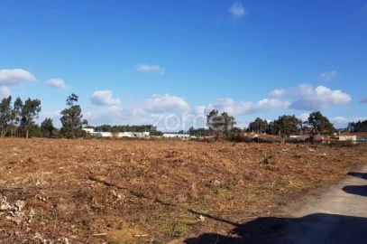 Terreno para Venda em Beduído e Veiros