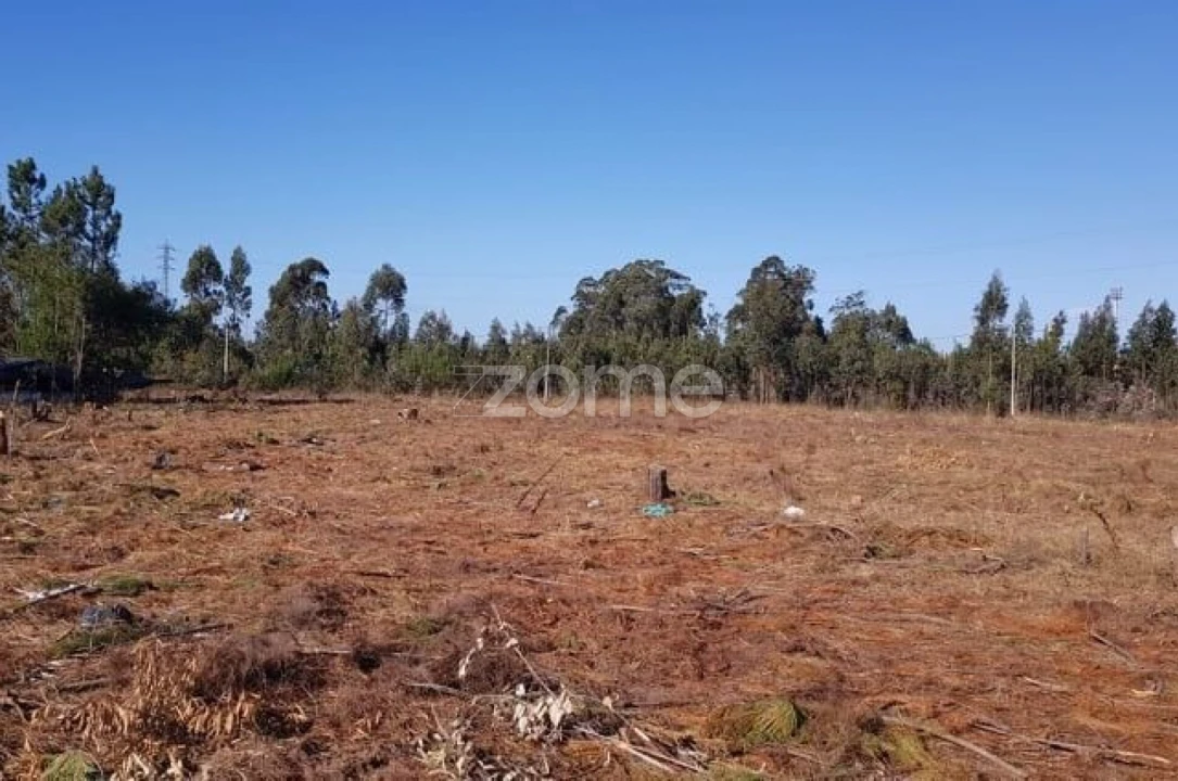 Terreno para Venda em Beduído e Veiros Foto 16