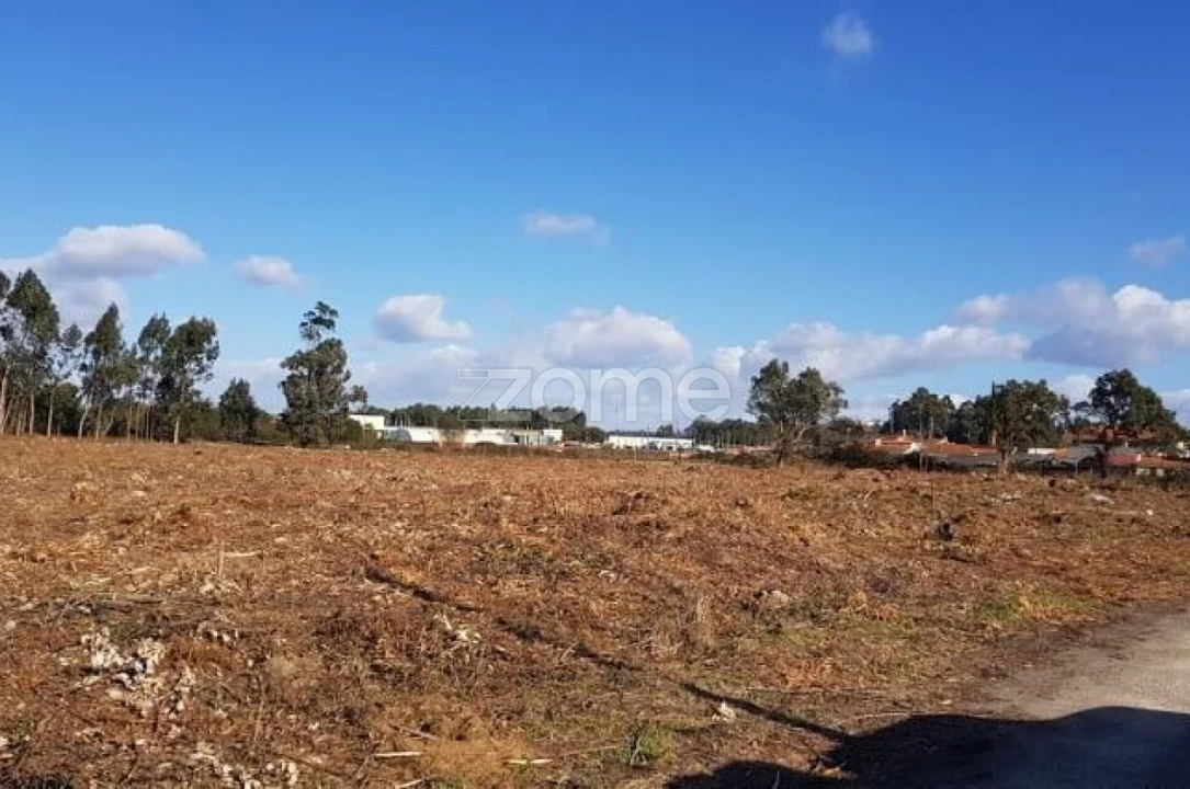 Terreno para Venda em Beduído e Veiros Foto 6