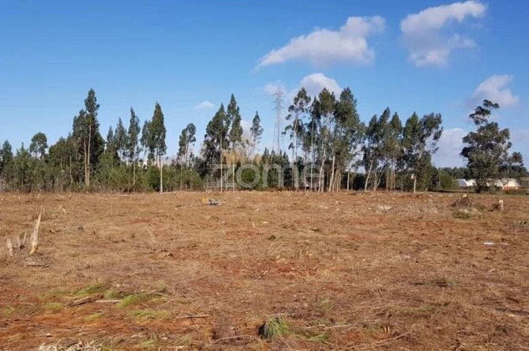 Terreno para Venda em Beduído e Veiros Foto 11