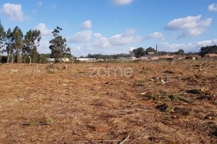 Terreno para Venda em Beduído e Veiros Foto 7