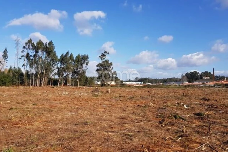 Terreno para Venda em Beduído e Veiros Foto 14