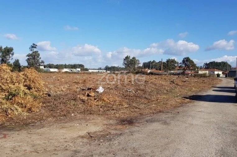 Terreno para Venda em Beduído e Veiros Foto 15