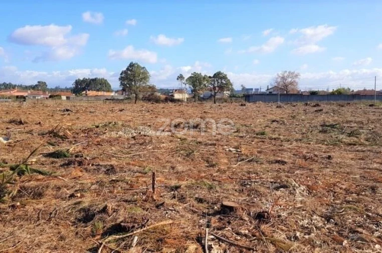 Terreno para Venda em Beduído e Veiros Foto 9