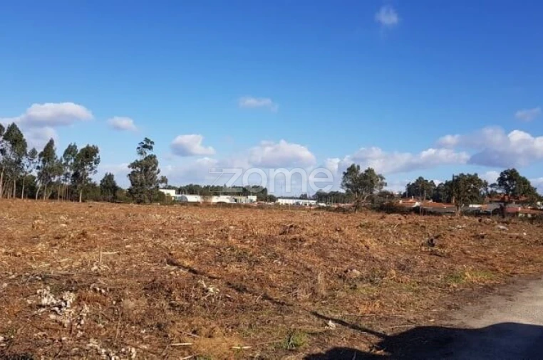 Terreno para Venda em Beduído e Veiros Foto 6