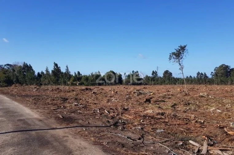 Terreno para Venda em Beduído e Veiros Foto 5