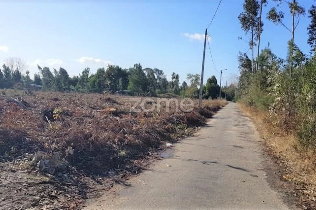 Terreno para Venda em Beduído e Veiros Foto 10