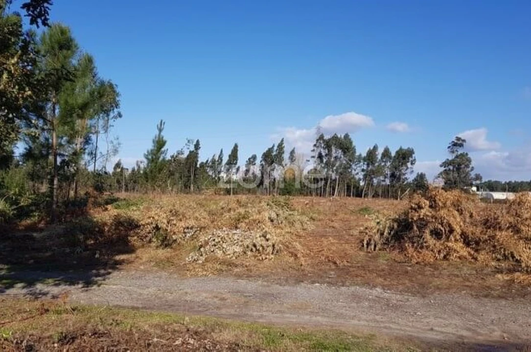 Terreno para Venda em Beduído e Veiros Foto 13
