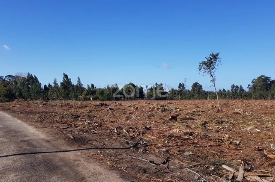Terreno para Venda em Beduído e Veiros Foto 5