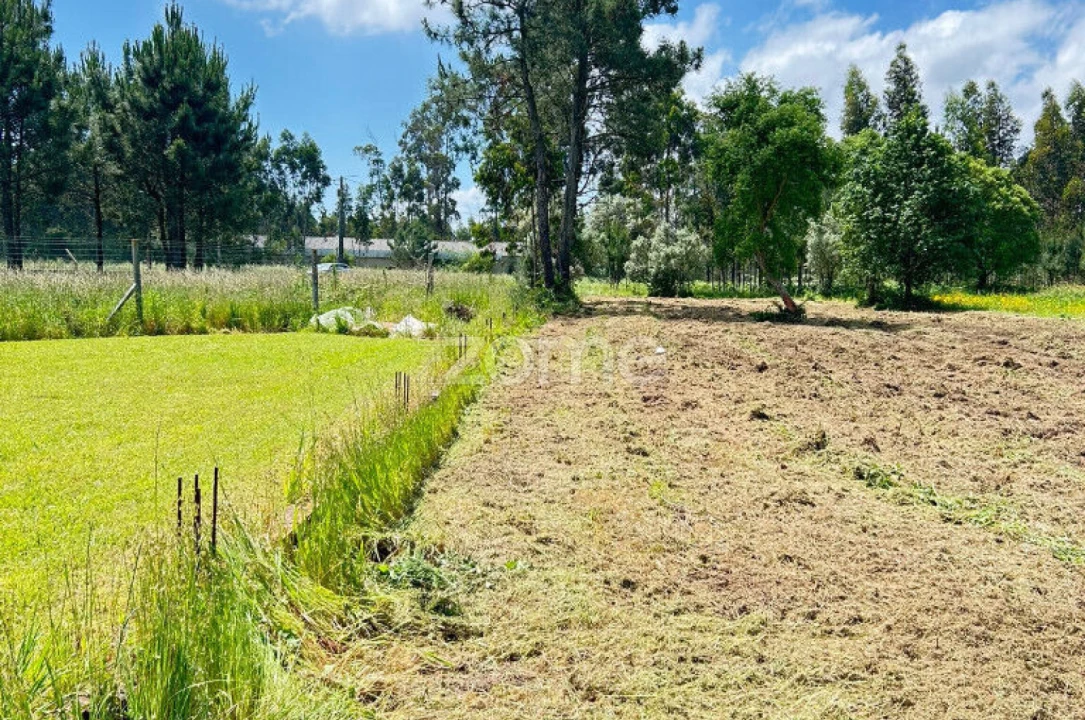 Terreno para Venda em Ouca Foto 6