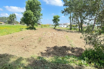Terreno para Venda em Ouca