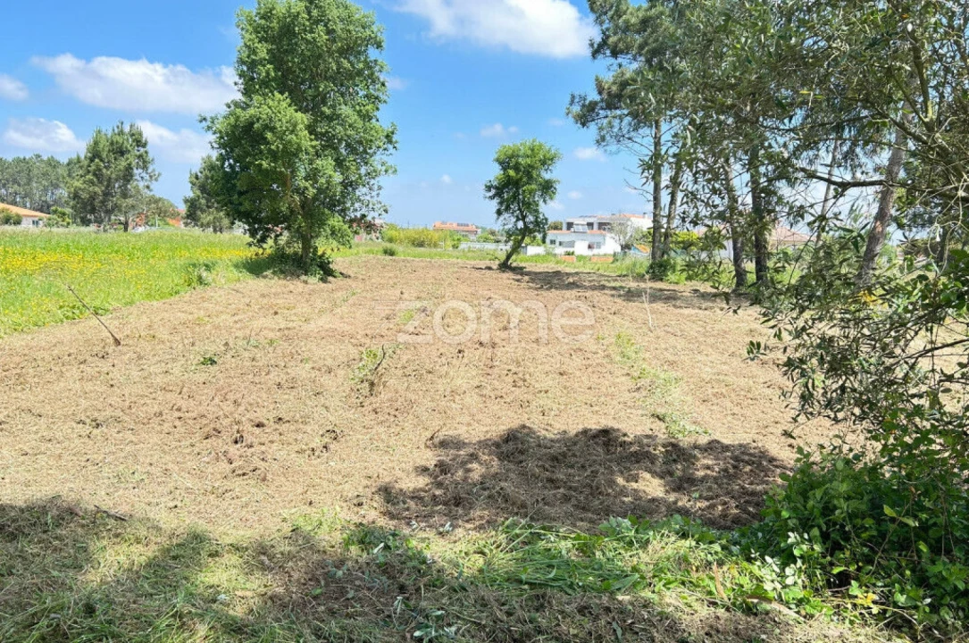 Terreno para Venda em Ouca Foto 4