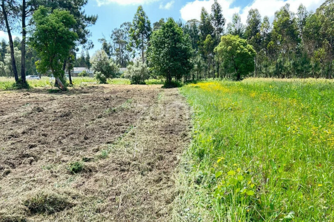 Terreno para Venda em Ouca Foto 8