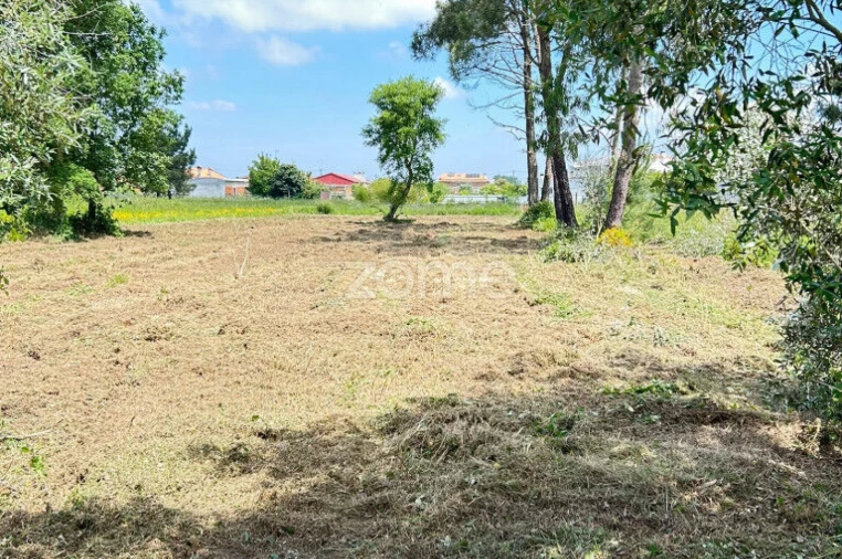 Terreno para Venda em Ouca Foto 10