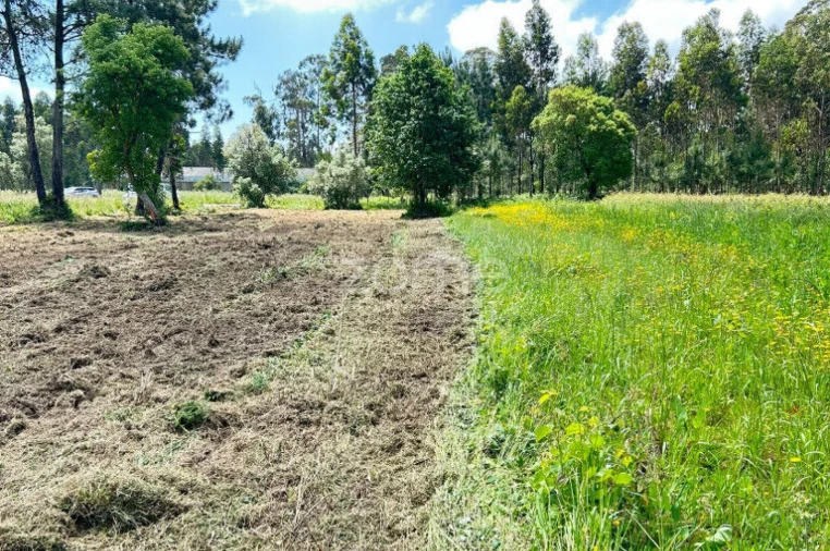 Terreno para Venda em Ouca Foto 8