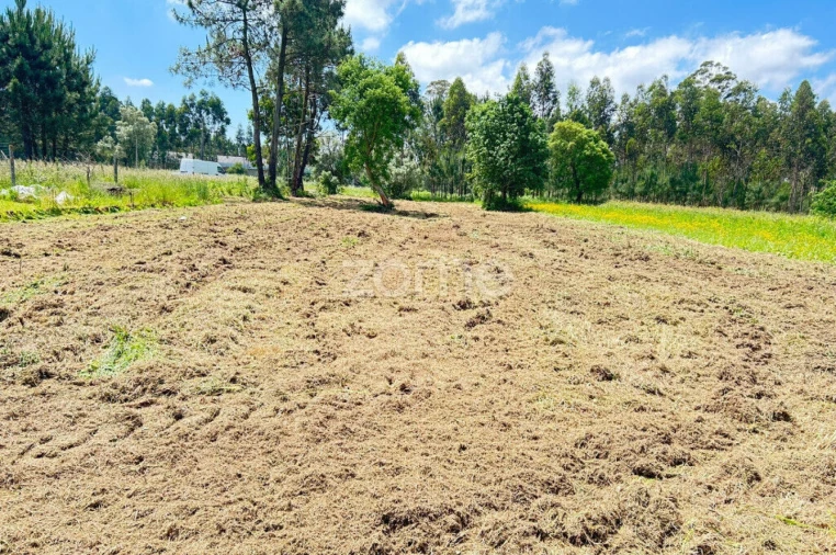 Terreno para Venda em Ouca Foto 3