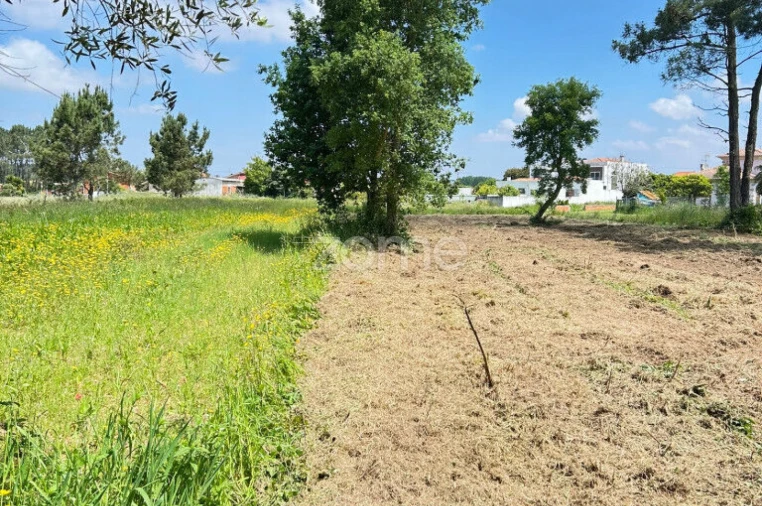 Terreno para Venda em Ouca Foto 7