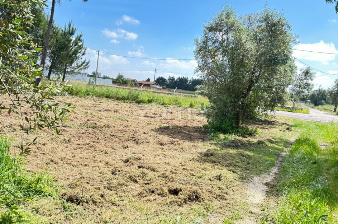 Terreno para Venda em Ouca Foto 5