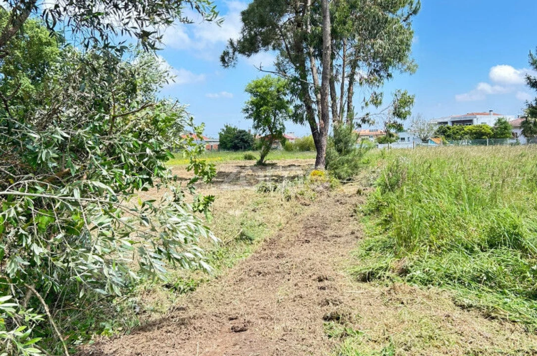Terreno para Venda em Ouca Foto 9