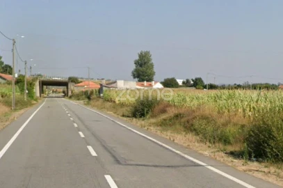 Terreno para Venda em Beduído e Veiros