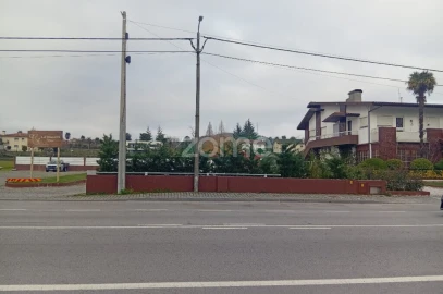Negócio para Venda em Nogueira do Cravo e Pindelo