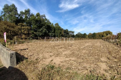 Terreno para Venda em Beduído e Veiros
