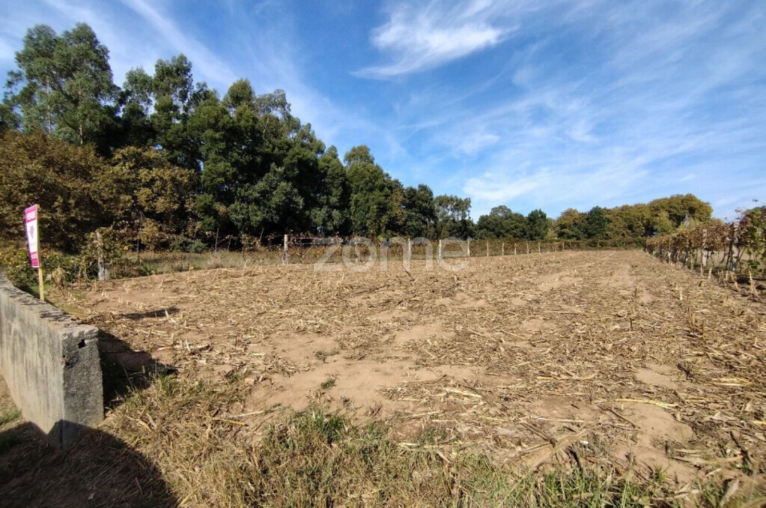 Terreno para Venda em Beduído e Veiros Foto 4