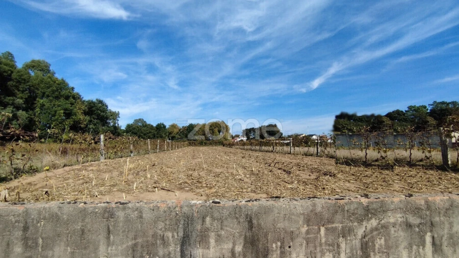 Terreno para Venda em Beduído e Veiros