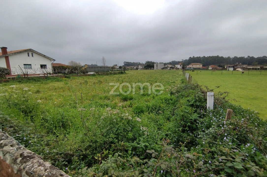 Terreno para Venda em Avanca Foto 6