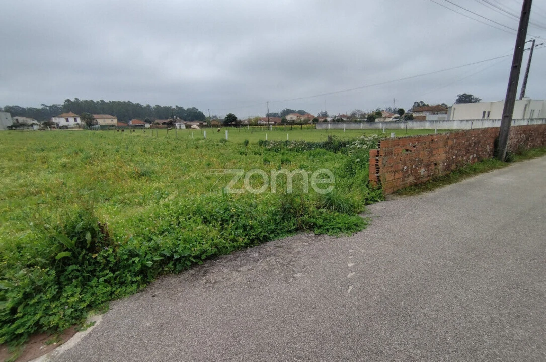 Terreno para Venda em Avanca Foto 3