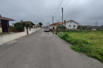 Terreno para Venda em Avanca